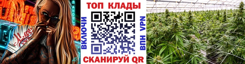 Купить наркотики сайты Ардон Alpha PVP МЕТАМФЕТАМИН Мефедрон АМФ Галлюциногенные грибы ГАШИШ Cocaine