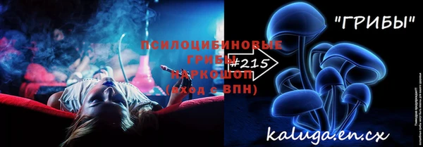 ешки Алзамай