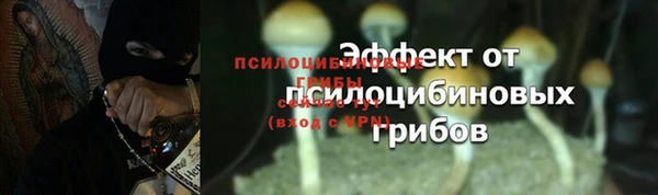 ешки Алзамай