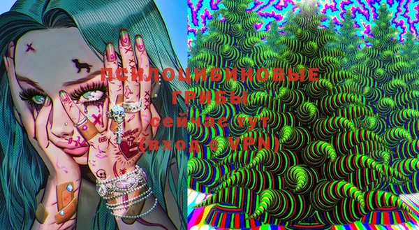 ешки Алзамай
