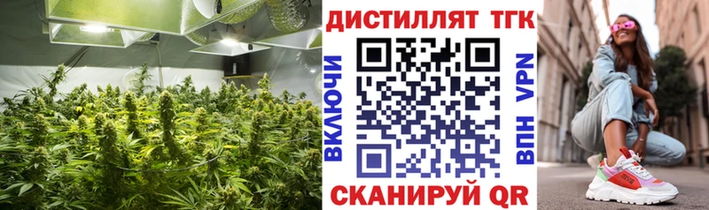 ТГК THC oil Ардон
