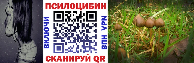 Псилоцибиновые грибы MAGIC MUSHROOMS Ардон